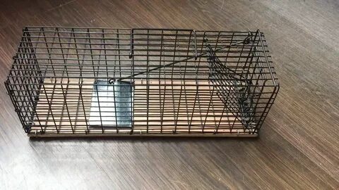 Котоловка для кошек