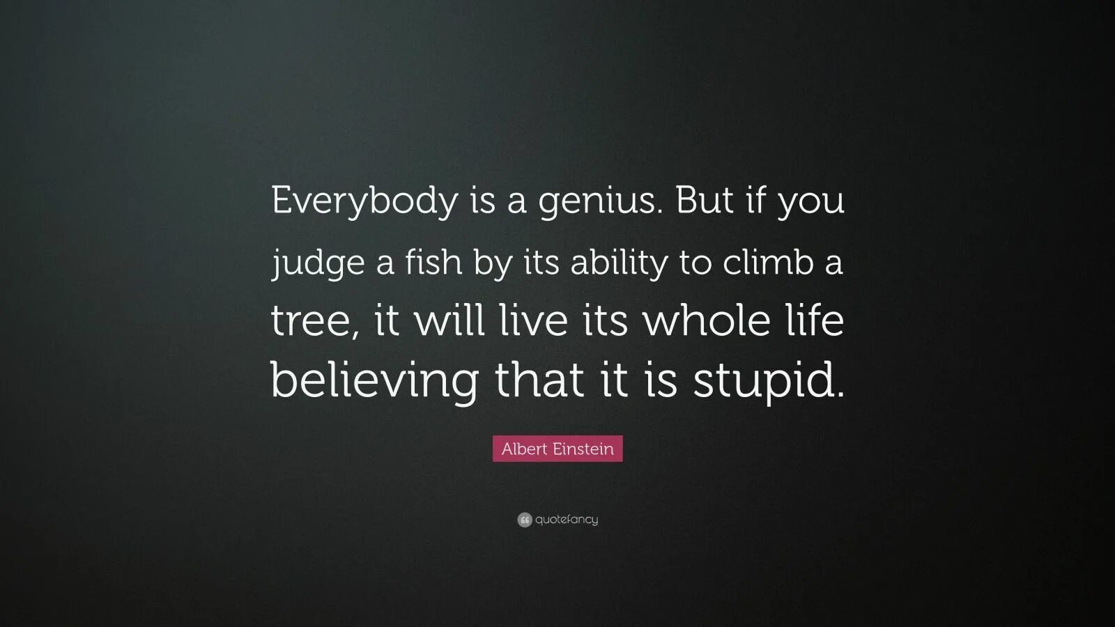 Something to make yours. Everybody is a Genius but if you judge a Tree. Why has Nobody told me this before. Mawkish meaning. "Why has Nobody told me this before?" By Julie Smith.