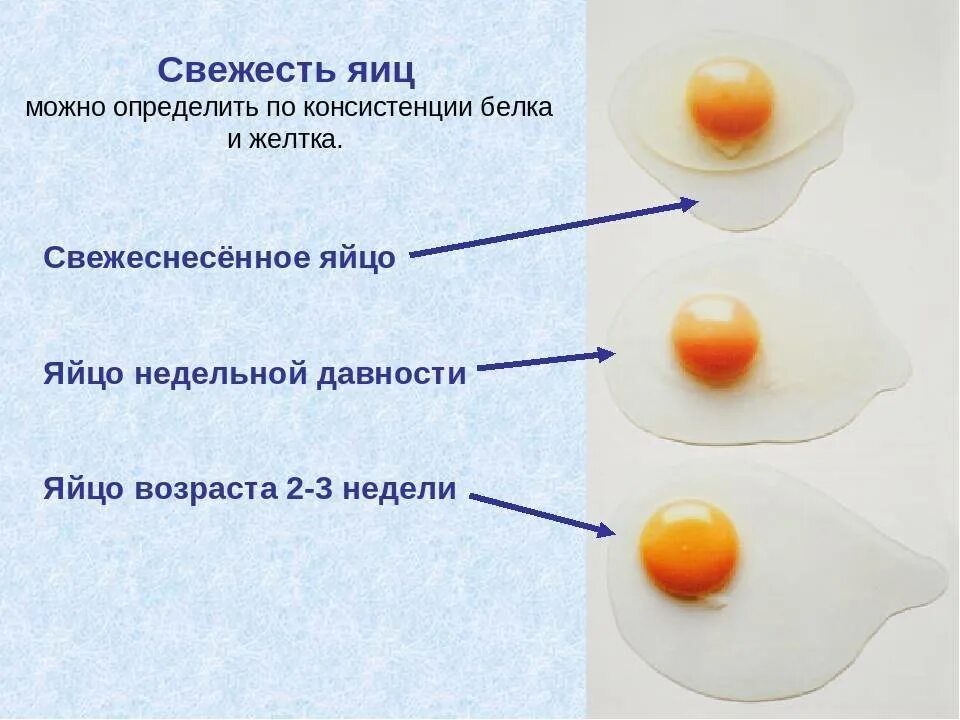 Можно ли яйца при температуре. Как определить свежесть яйца. Какопрелелить сведестт яиц. Определить Мвежесть яйцах. Как узнать свежесть яиц.