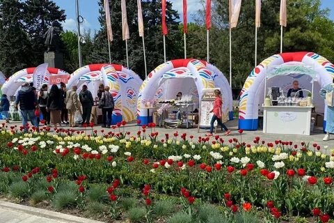 Долина ростове на дону