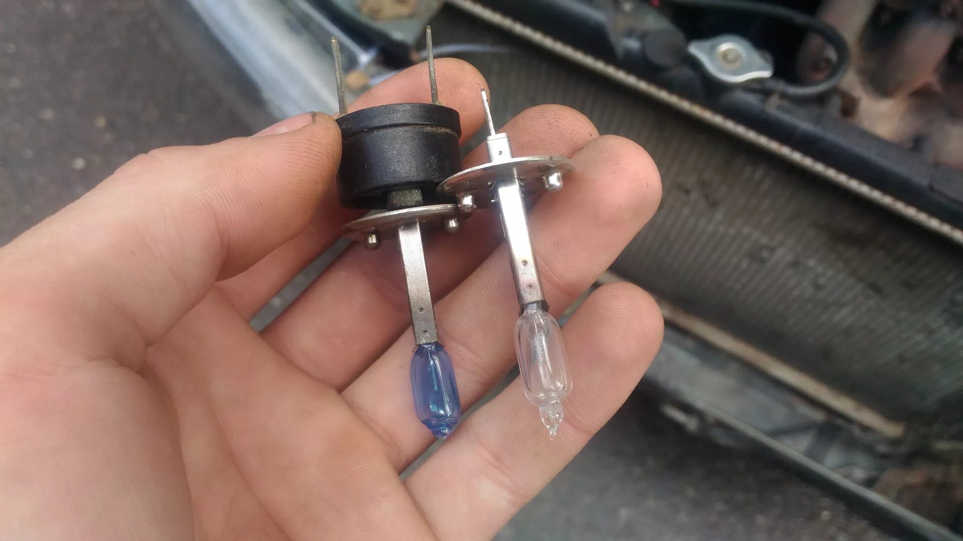 Лампочки ближнего света mitsubishi galant 9 американец. Лампа салона мицубиси галант 9. Лампочки на панель приборов галант 8. Лампы галант 8. Lancer 10 повторитель поворотника.