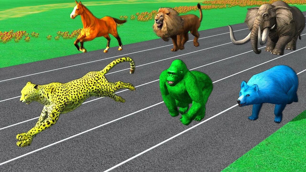 Animal race. Animals Race. Энимал рейсинг. Игра Running of the animals. Rasing animals.