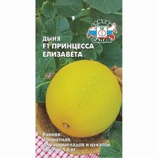 Дыня принцесса
