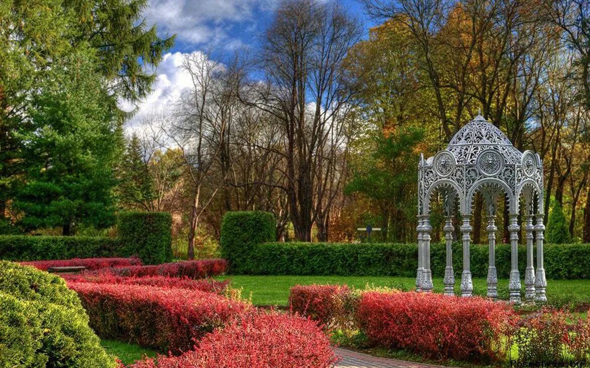 Минский ботанический сад. Оранжерея ботанического сада минск. Ботанический сад беларусь. Дендрарий минск ботанический сад. Ботанический сад тромпенбург-арборетум.