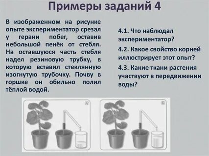 На представленном рисунке показан опыт иллюстрирующий