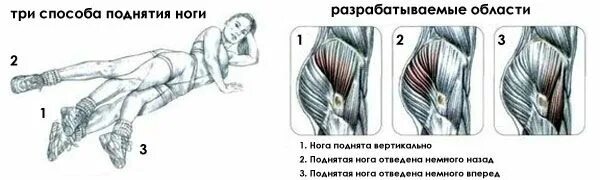 Махи ногами какие мышцы работают. Махи ногами лёжа какие мышцы задействованы. отведение ноги в сторону какие мышцы. отведение ноги в сторону лежа на боку. махи ногой лежа на боку мышцы.