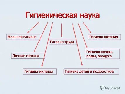 Гигиена обж 8 класс