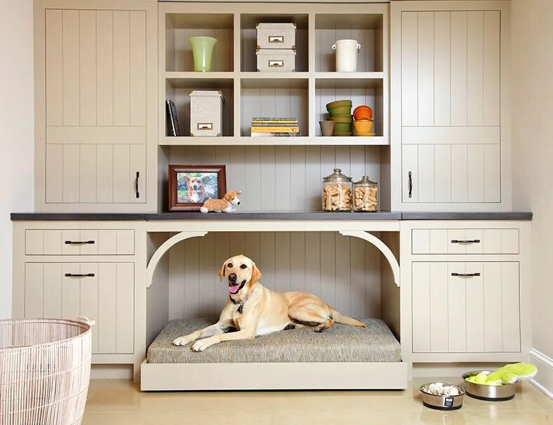 Какие домашние животные добавлены в личном кабинете. Шкаф с местом для собаки. Место для собаки в мебели. Собака в интерьере. Мебель для собак в квартиру.