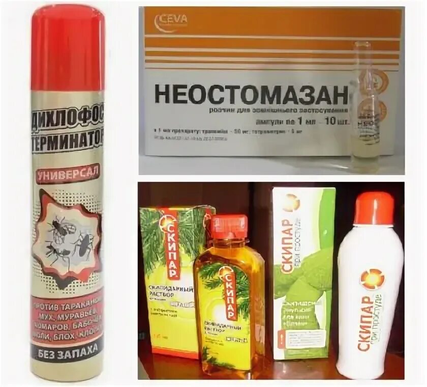 Как избавиться от блох средство. Как избавиться от блох средство