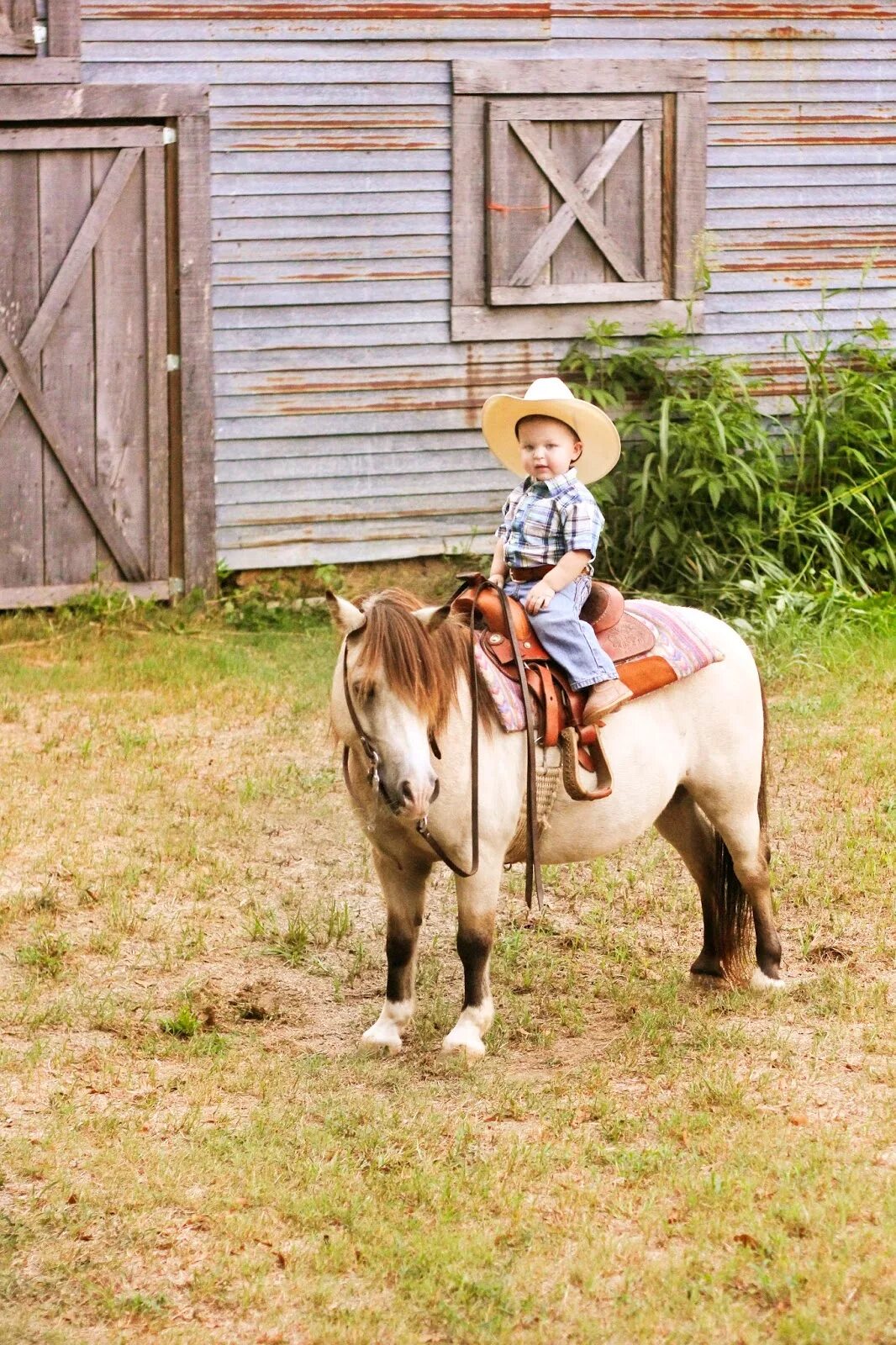 катание на лошадях. Horse riding england. босоногая лошадь. Riding wood. американский кватерхорс вестерн.