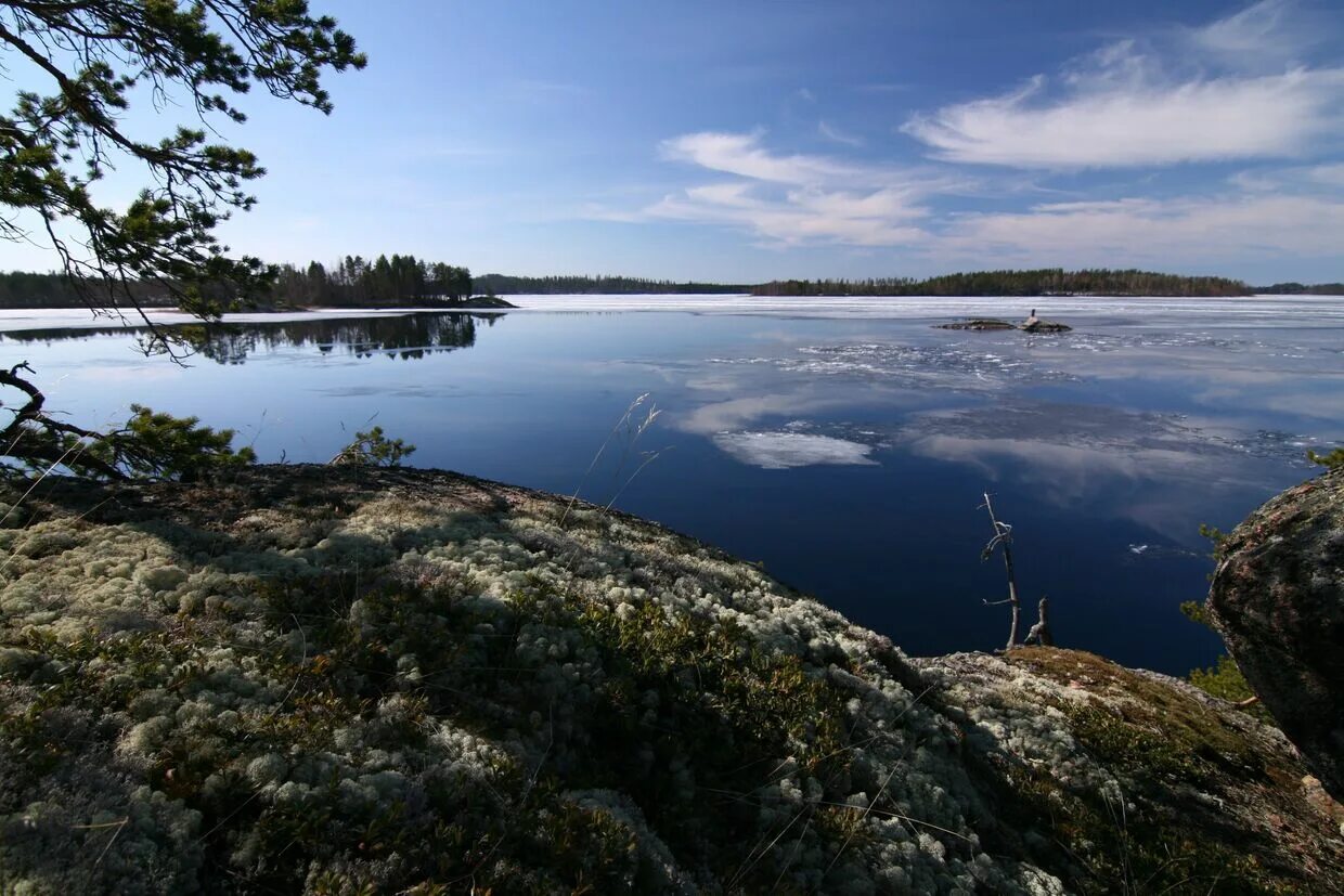 Озеро в финляндии 5. Озеро Пяйянне Финляндия. Озеро Оулуярви Финляндия. Озеро Сайма Финляндия. Финляндия Озерная система Пяйянне.
