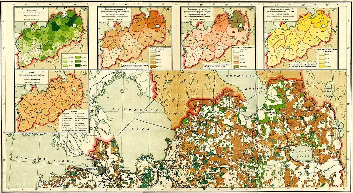 Золото ленинградской области. Карта растительности Ленинградской области. Карта лесов Ленобласти. Карта почв Ленинградской области. Леса Ленинградской области на карте.