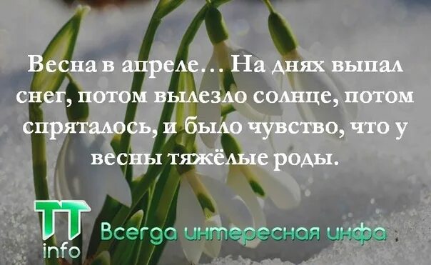 Цитаты про весну. Афоризмы про весну. Красивые фразы про весну. Апрель красивые слова