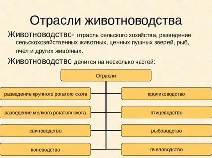 Отраслевой состав схема