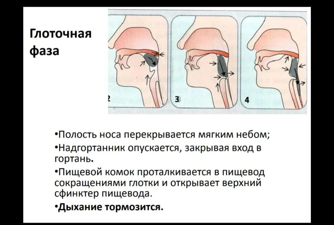 При глотании ощущение инородного. Таблетка может застрять в горле. Сложно глотать таблетки. Как научить ребенка глотать. Чувство что таблетка застряла в горле.