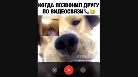 Звонок друга видео