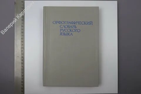 Русский язык 1993