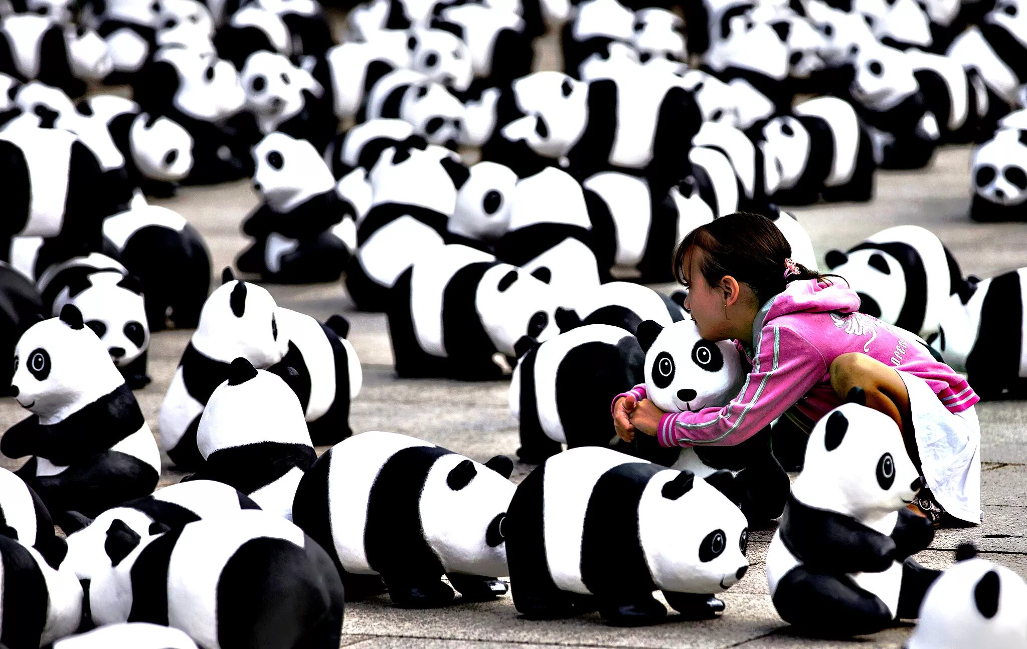 Включи новую панду. Всемирный фонд дикой природы WWF России. 1600 Панд. Смешная Панда. Много панд.