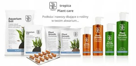 Soil масло