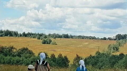 Полевая деревня