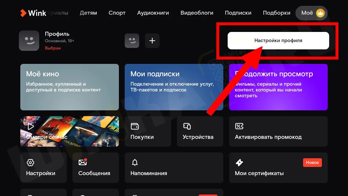 Как подключить алису к винк Как включить музыку через приложение
