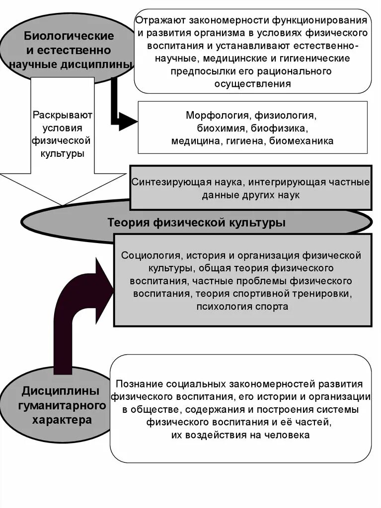 Функционирование организации закономерности. Закономерности развития культуры. Закономерности функционирования культуры. Условия и закономерности развития. Формирование закономерности это.