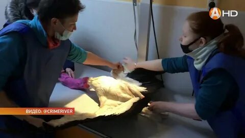 Ютуб спасли