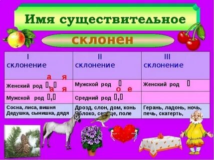 Какое склонение у слова зверьки