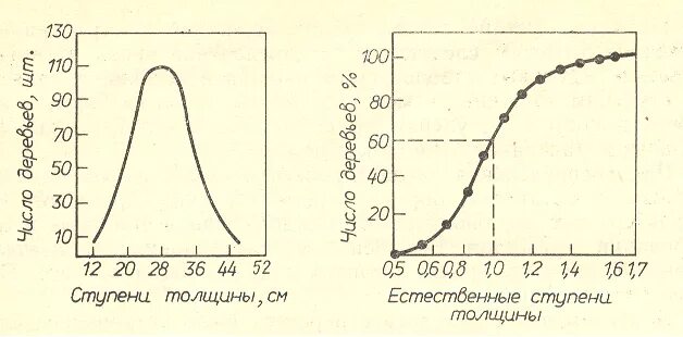 Ступени толщины деревьев. Ступени толщины деревьев