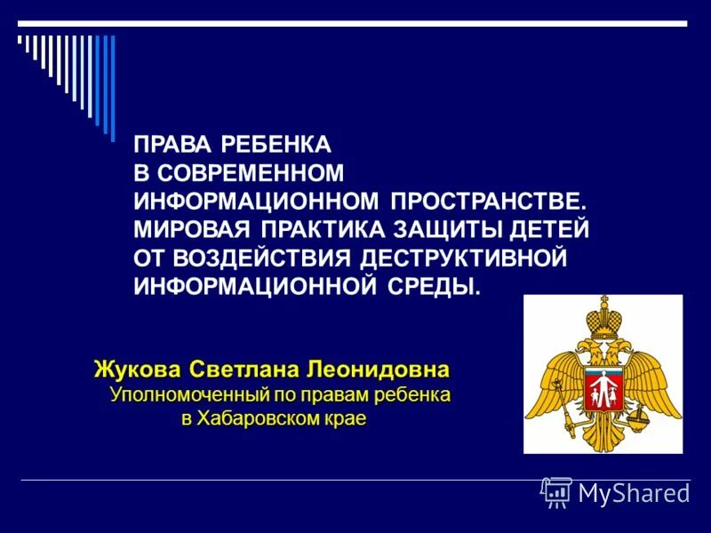 уполномоченный по правам ребенка в хабаровском крае. уполномоченный по правам ребенка в хабаровском крае. уполномоченные по правам ребенка хабаровского края. уполномоченный по правам в ставропольском крае. светлана адаменко ставрополь.