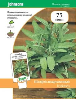 Семена шалфея