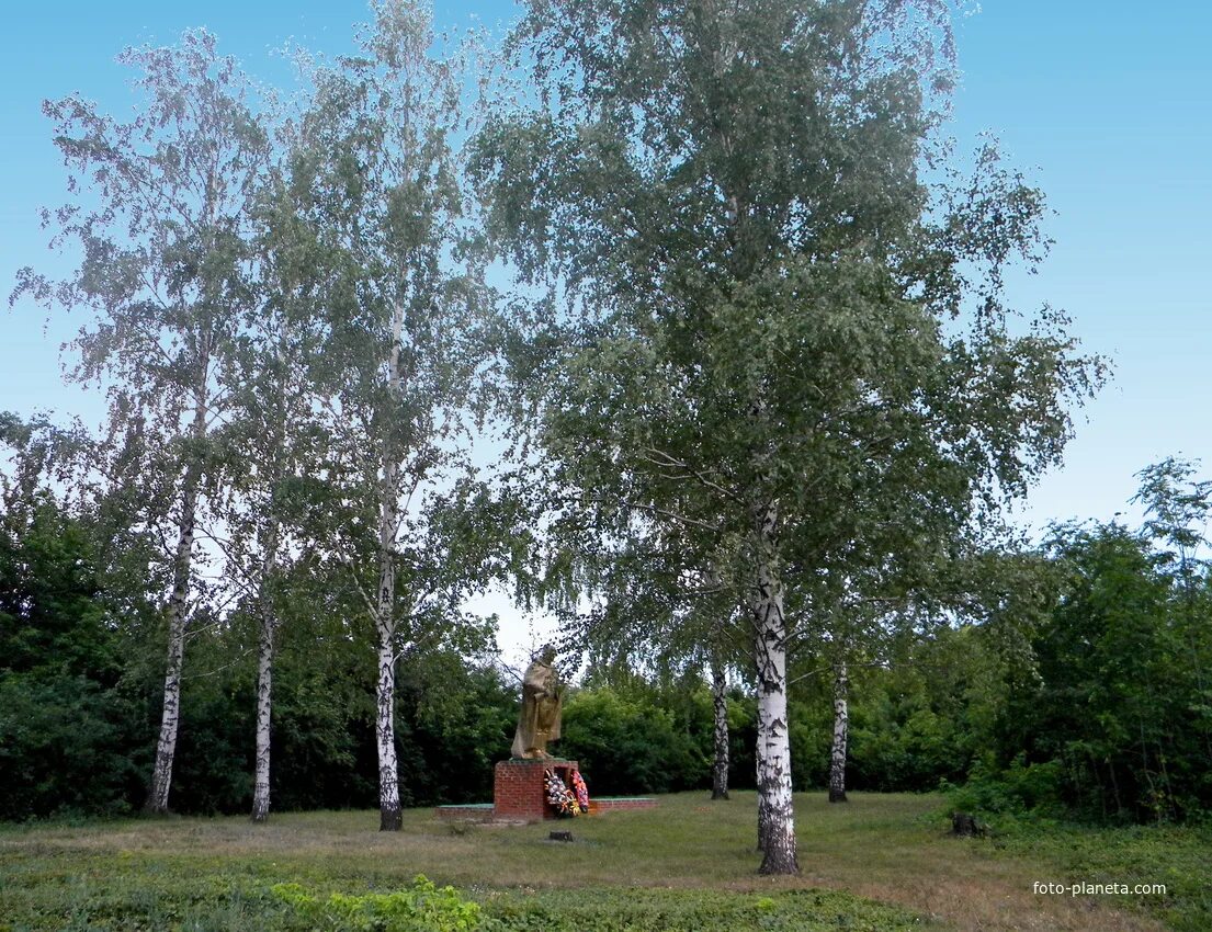 Наумовка Белгородская. Село Наумовка Белгородская область. Наумовка Белгород. Аллея в Наумовке Тульская область. Наумовка белгородский район