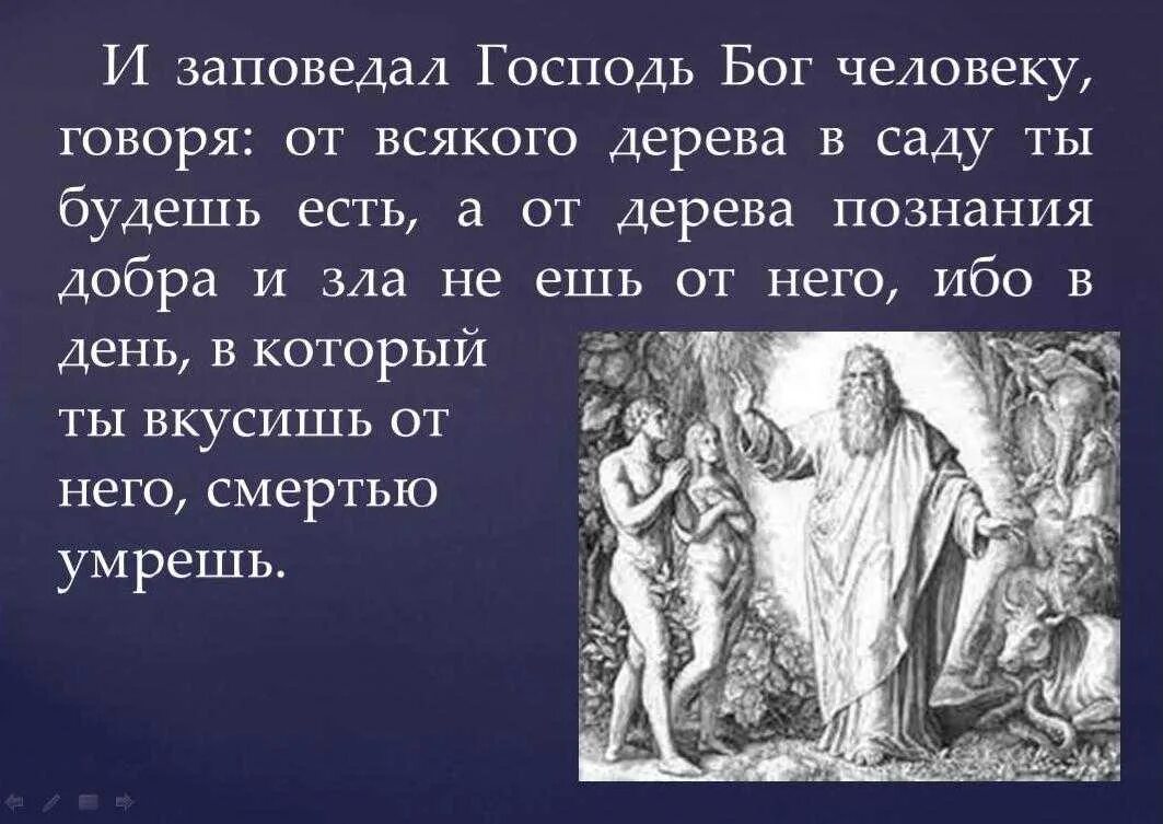 Бог и добро суть одно. И заповедовал господь бог человеку говоря. дерево добра и зла в библии. человек человеку бог. и сказал господь.