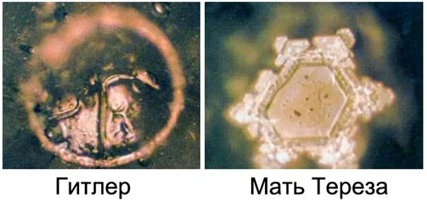 Кристаллы воды Масару Эмото. Опыты Масару Эмото речь Гитлера. Кристаллы воды под микроскопом.