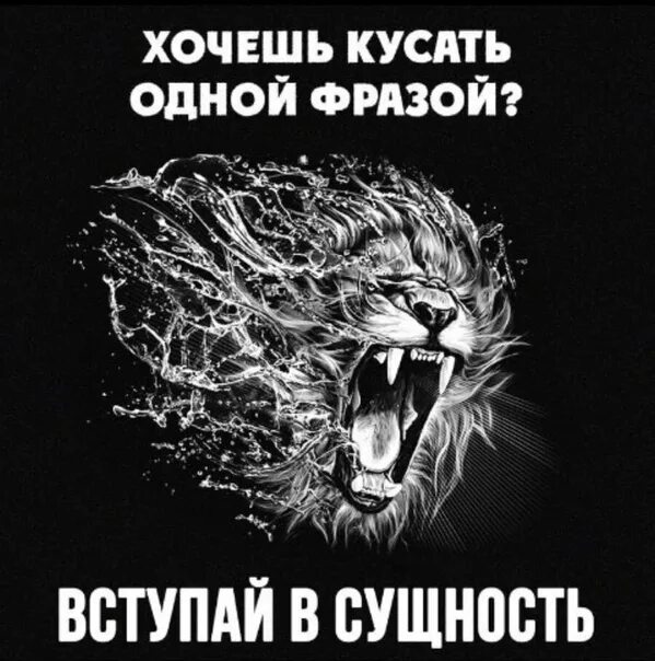 Как затыкать людям рот одной фразой картинка. Как затыкать людям рот одной чёрной фразой Мем.