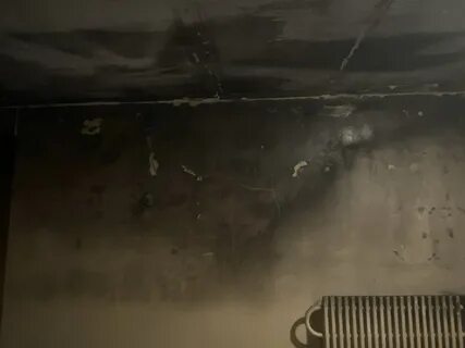 Полузгнившие или полусгнившие как