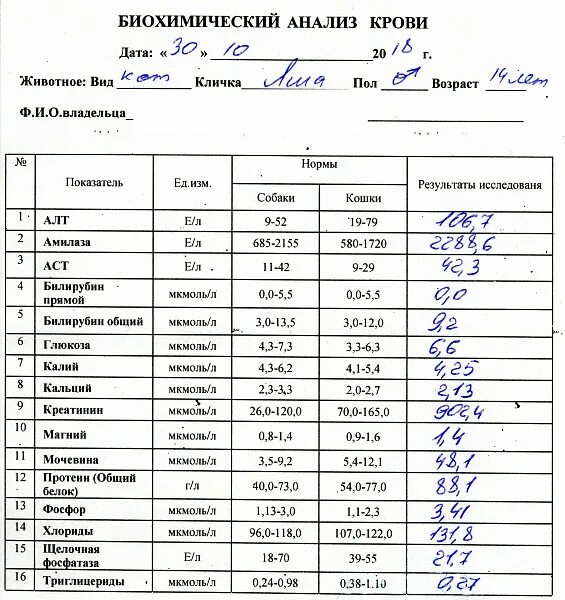 Биохимический анализ крови пробы. Результаты анализов биохимии крови. Биохимический анализ крови Результаты норма. Биохимический анализ крови пример результата. Биохим анализ крови Результаты.