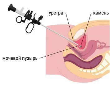 Приморский студенттерінің порно кештері