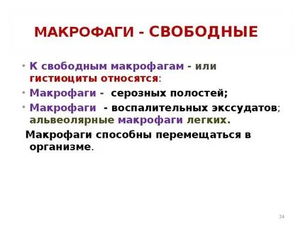 Макрофаги гистиоциты