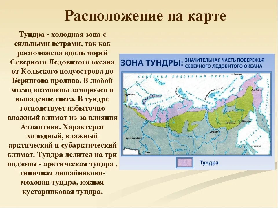 Тундра на территории России карта. Географическое положение природных зон России на карте. Тундра расположение природной зоны. Тундра России географическое положение на карте России.