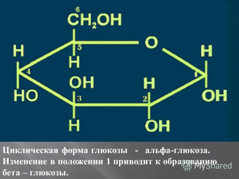 Циклическая молекула глюкозы. Структурная формула Альфа Глюкозы и бета Глюкозы. Структурная формула циклической формы Глюкозы. Циклическая форма Альфа Глюкозы. Циклическая формула Глюкозы по химии.