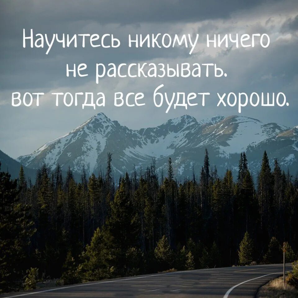 Кот радуется подарку. Тогда вот такой. Наглая рыжая морда с надписями. Научитесь никому ничего не рассказывать. Цитаты карлсона из книги.