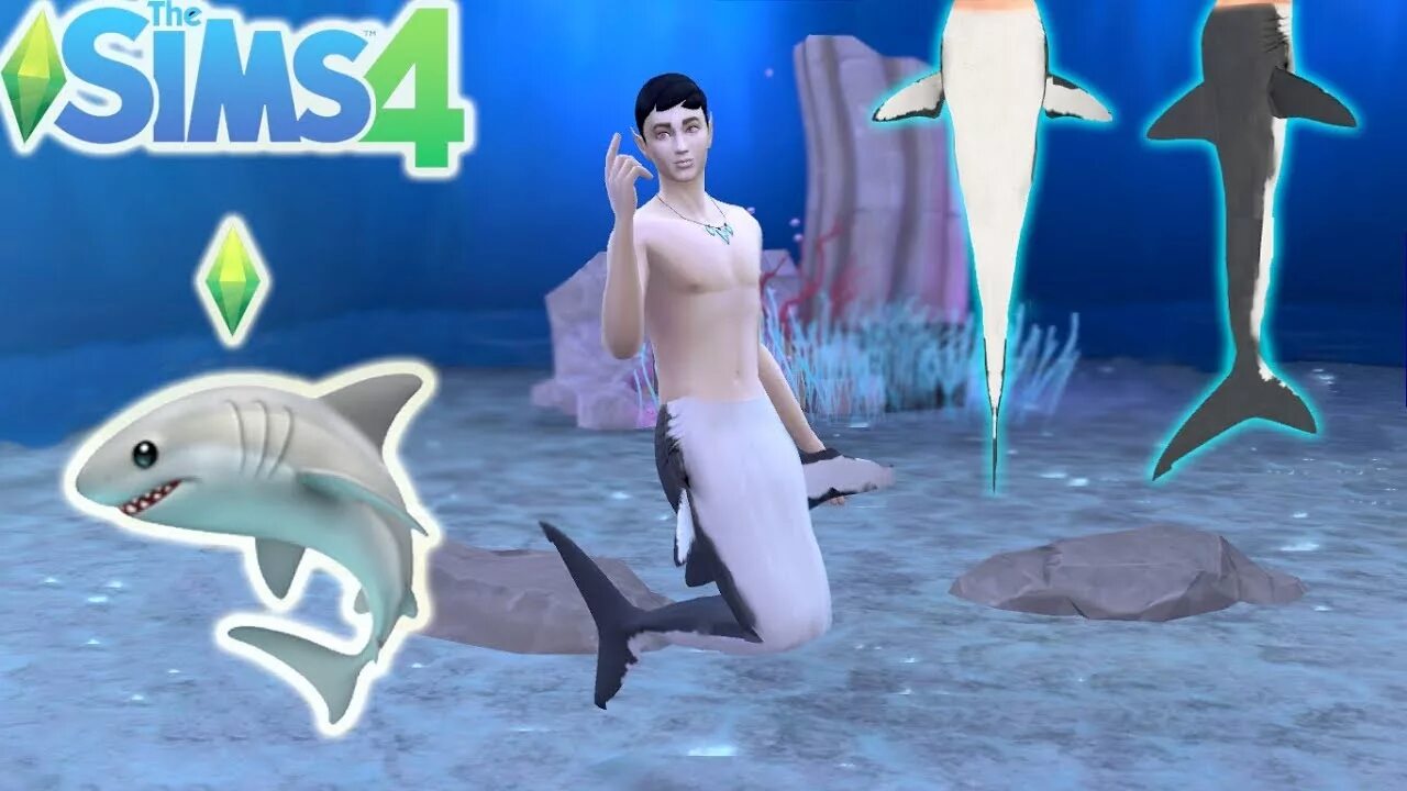 Симс 4 рыбалка. SIMS 4 Mermaid Shark. SIMS 4 акула. Акулы в симс 4. SIMS 4 русалки.