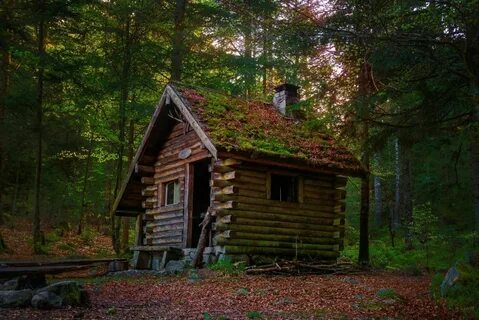 Бревенчатая хижина