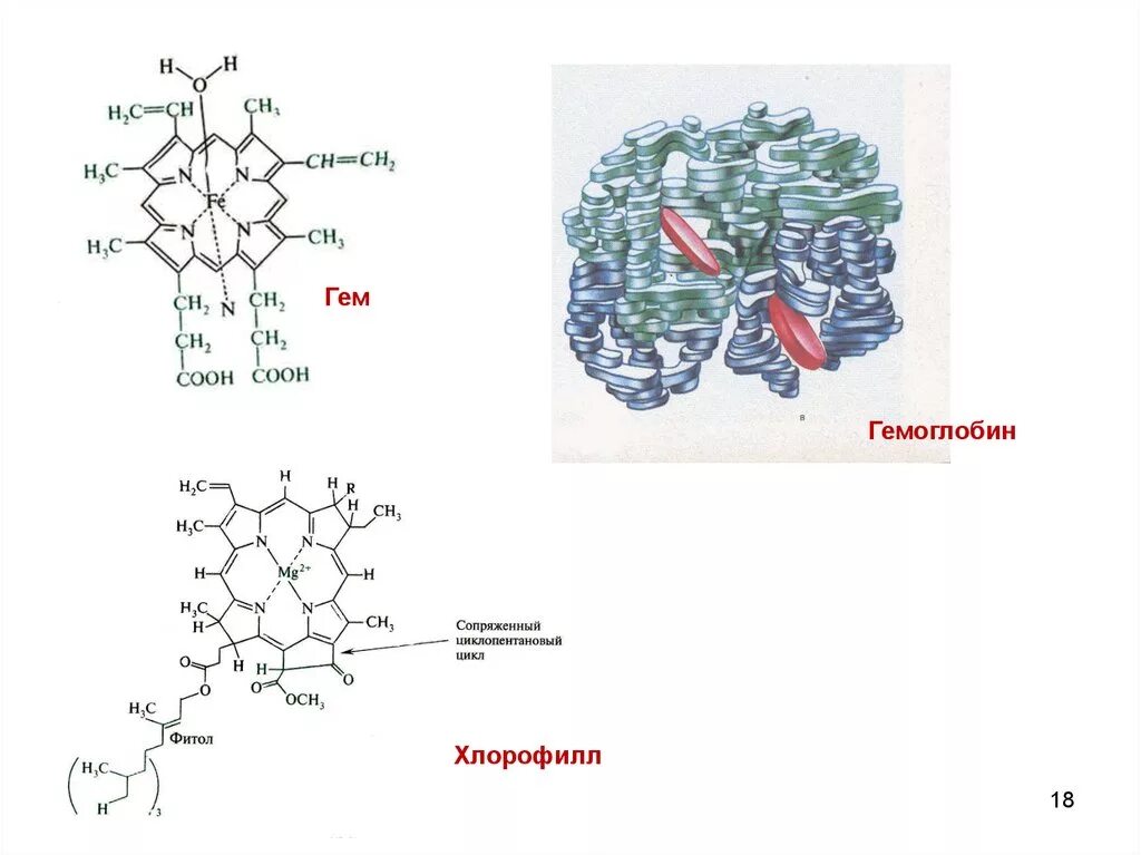 Гем биохимия. Строение гема гемоглобина. Гемоглобин гем биохимия строение. Гем гемоглобина строение. Гем строение биохимия.