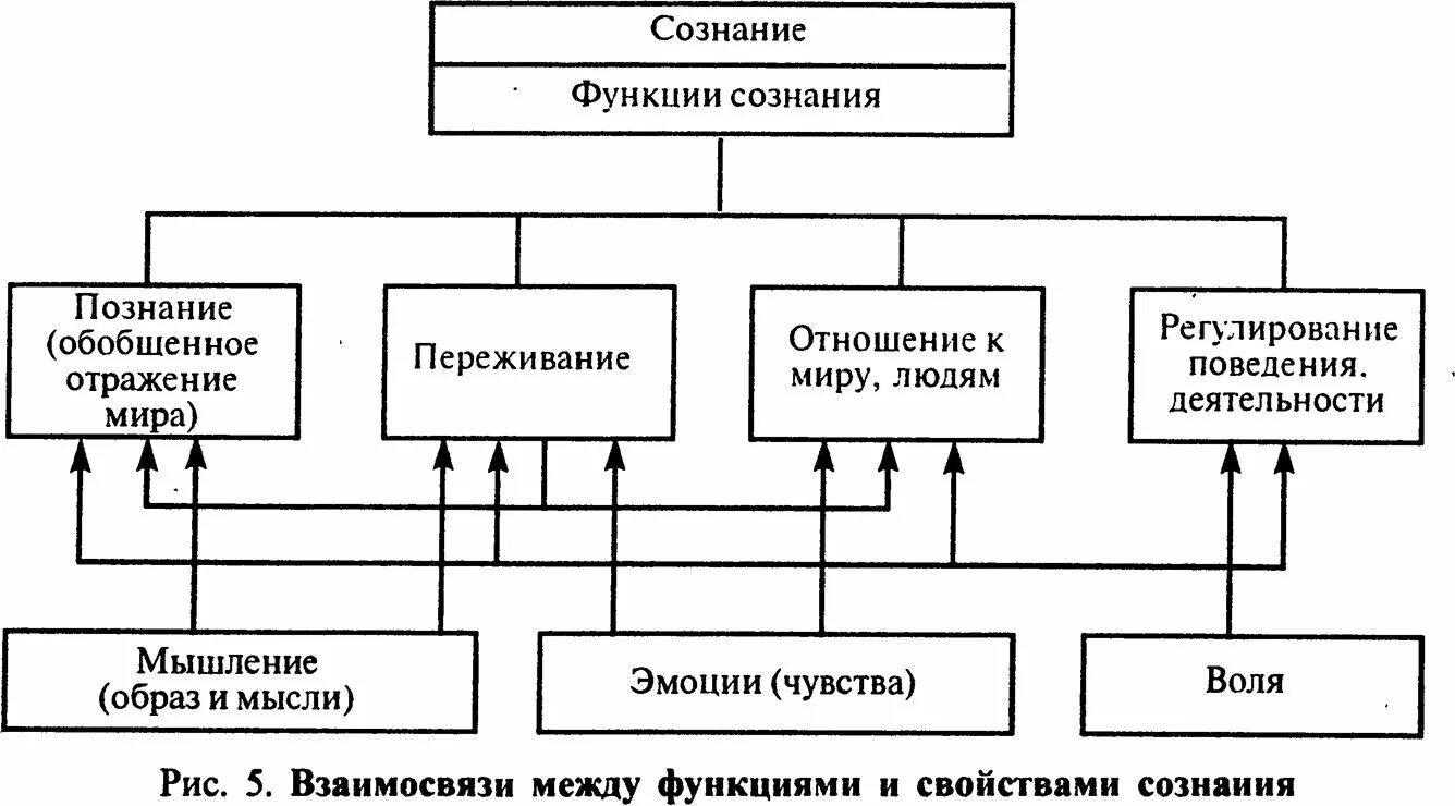 Сознание выполняет функции. Функции сознания таблица. Основные функции сознания. Функции сознания в психологии. Функции сознания в философии.