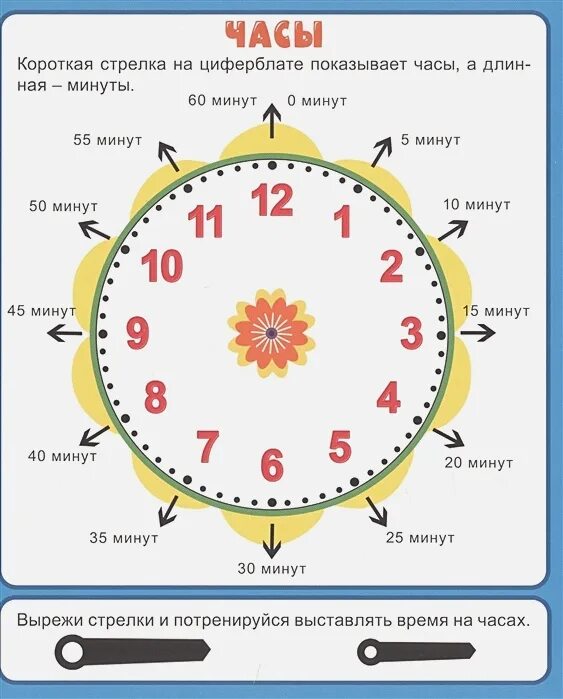 62 суток в часах. Как научить ребёнка времени по часам. Научить ребенка определять время по часам циферблат. Изучаем часы с ребенком. Часы для изучения времени.