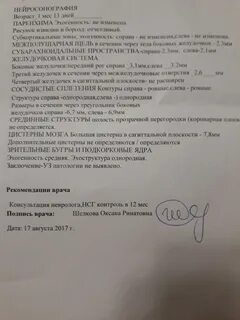 Нейросонография у взрослых