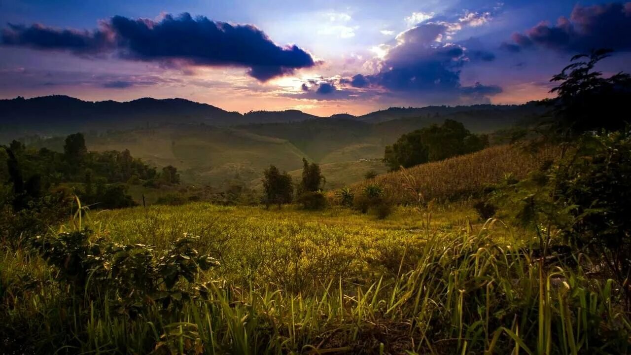 пейзаж bmp. мак ос йосемити. Hi res audio. пейзаж. природа.