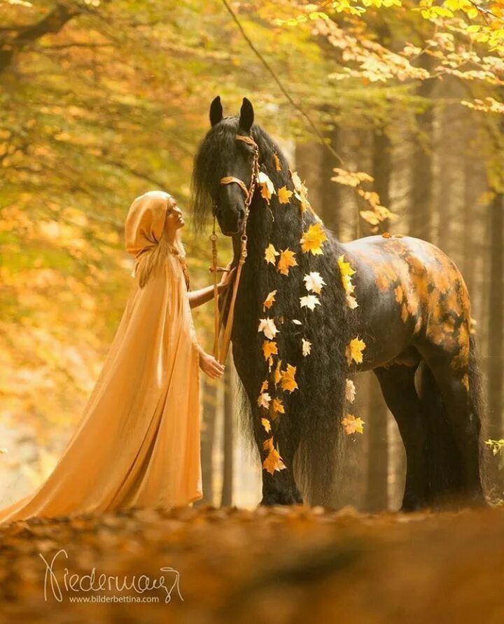 Pin by Jolcsi on Ember és a ló / Man and horse Horses, Animals, Writing prompts